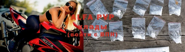 индика Бронницы