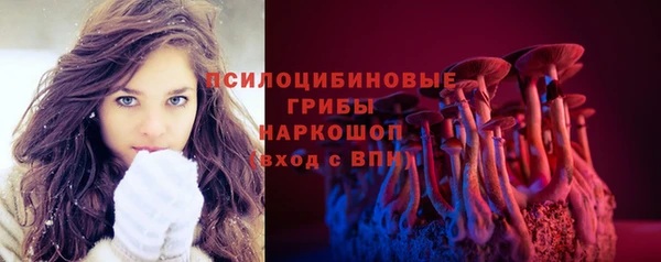 амф Бугульма