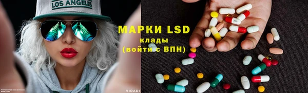 индика Бронницы