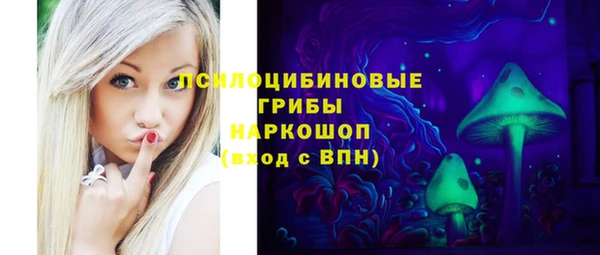 винт Бородино