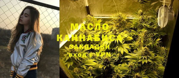 индика Бронницы