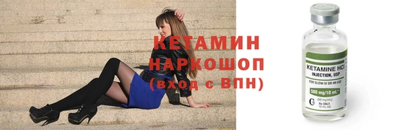индика Бронницы