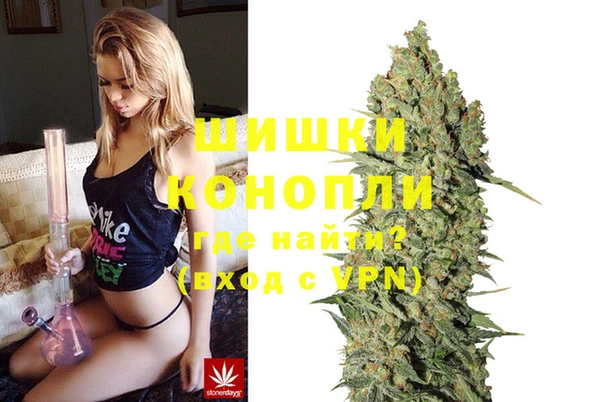 индика Бронницы