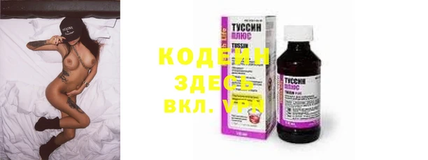 индика Бронницы