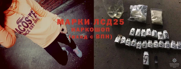индика Бронницы
