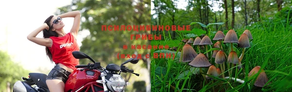 винт Бородино
