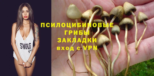 винт Бородино