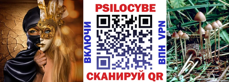 omg ссылки  Сыктывкар  Галлюциногенные грибы Magic Shrooms  даркнет сайт 